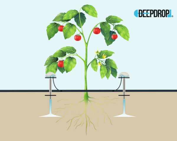 DeepDrop® Caudal 2L/H - Ensamblado - Imagen 3