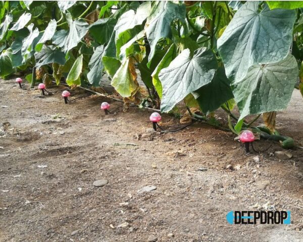 DeepDrop® Caudal 2L/H - Ensamblado - Imagen 2